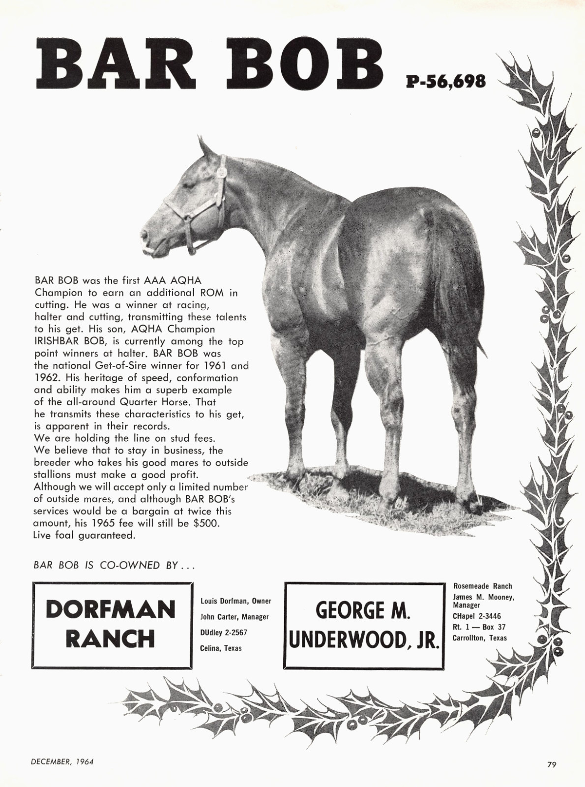 Bar Bob AQHA Champion Celina Texas Dorman Ranch Stud Vtg 1964 Magazine Print Ad