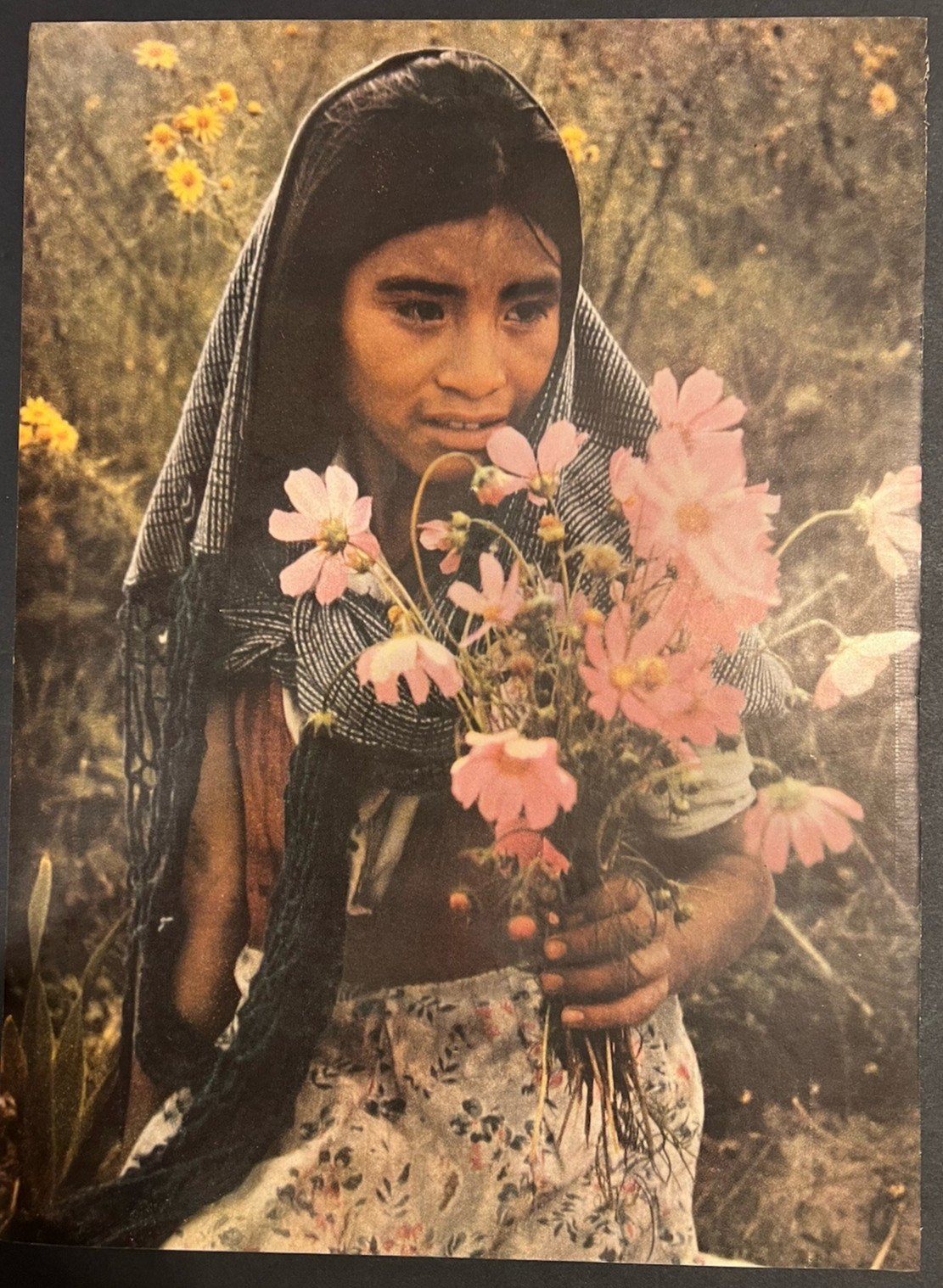 Vtg 1950s Full Page Photo of Young Mexican Girl Picking Flowers in a Field