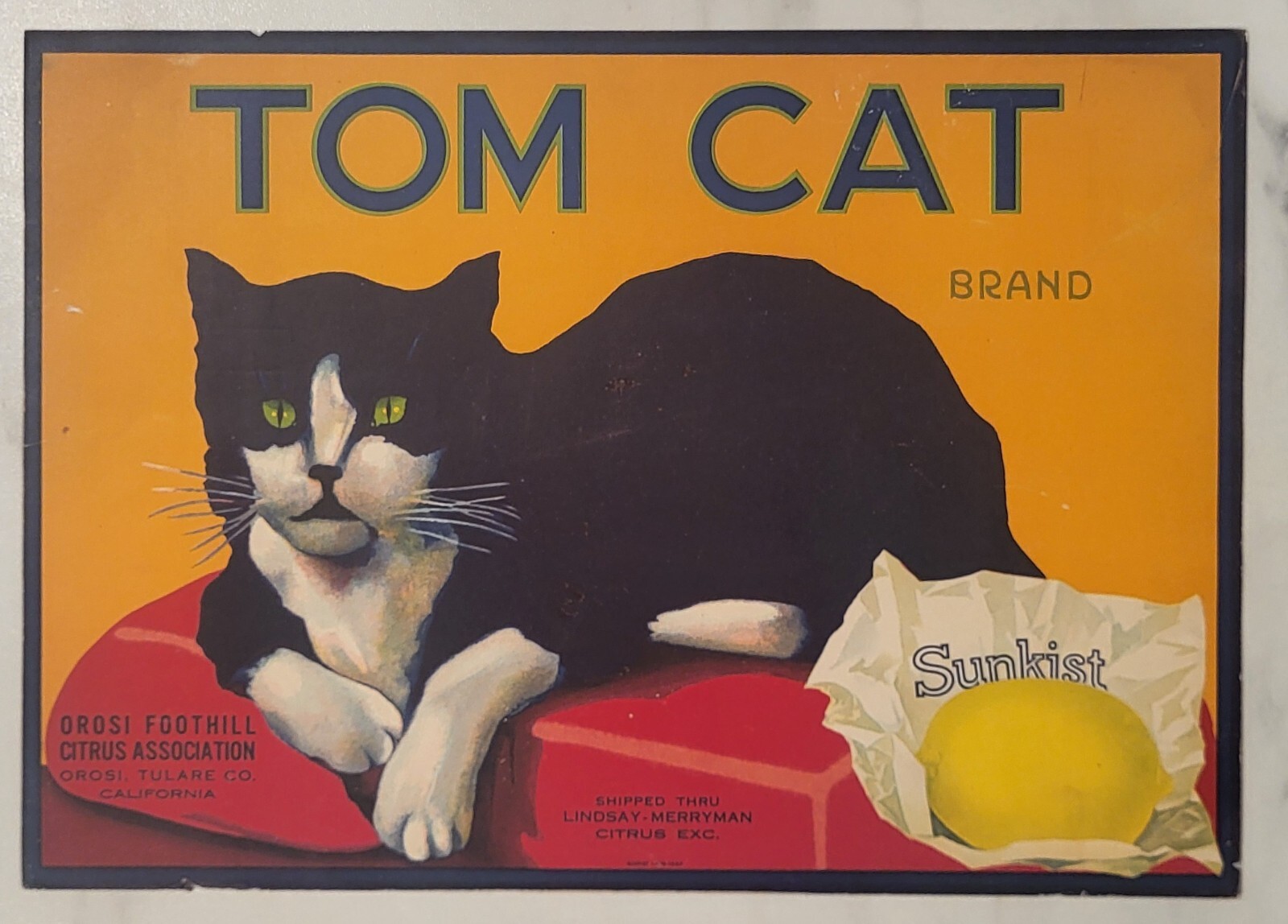 LABEL Tom Cat Lemons Orosi Foothill Citrus California Lindsay Merryman