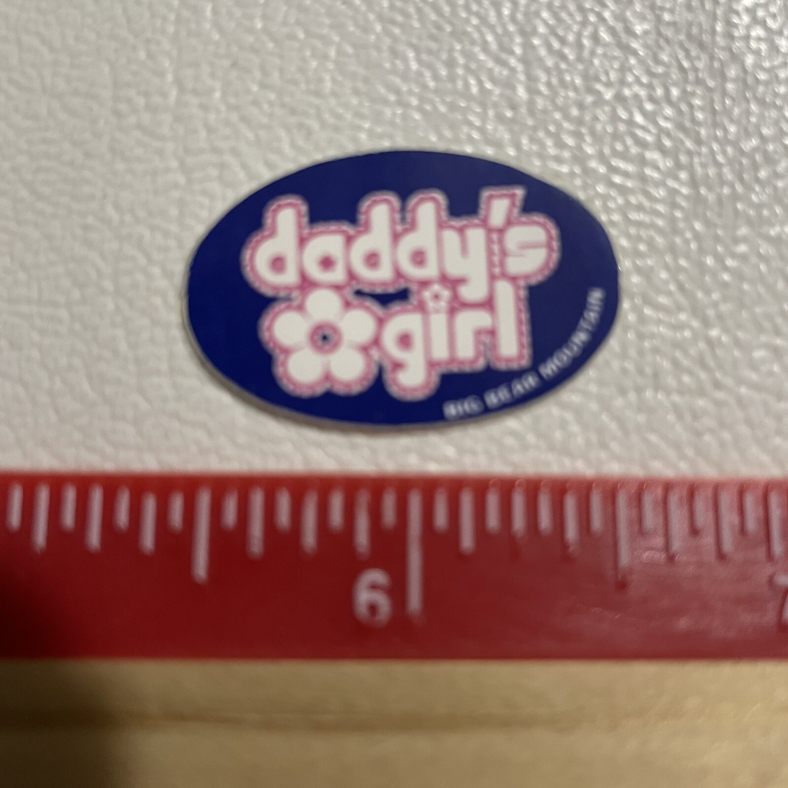 Tiny Snow Ski DADDY’S GIRL BIG BEAR MOUNTAIN Advertising Sticker Decal T020