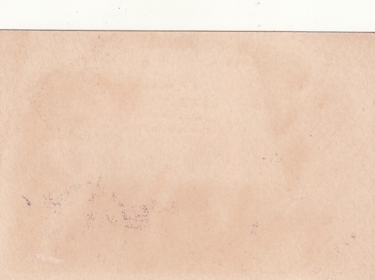 W F Wheaton Steam Printer New Bedford MA Easel Placard Vict Card c1880s