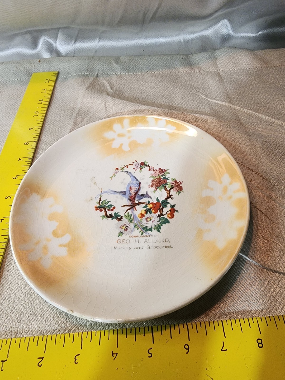 CIRCA 1910 Variety & Groceries ADVERTISING COLLECTOR PLATE
