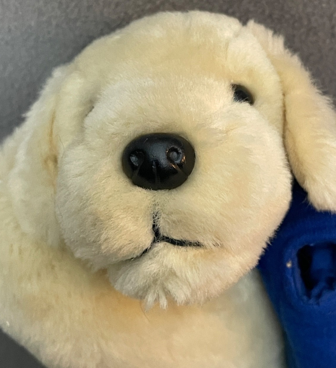 Cottonelle Golden Retriever Puppy Advertising Clip on Plush w/Backpack Pouch