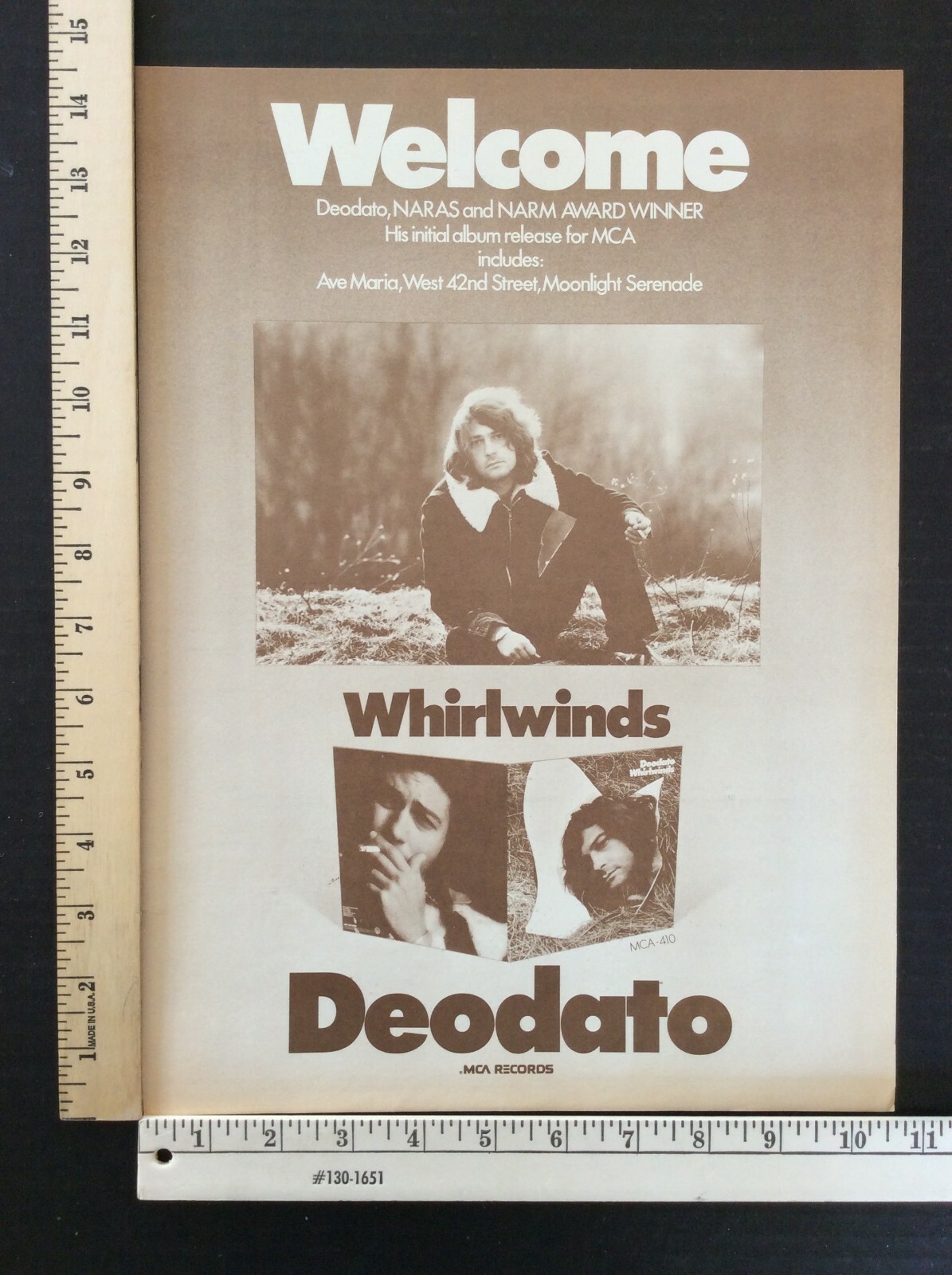 Rare Orig VTG 1974 Deodato Whirlwinds MCA Record Poster Style Music Ad Art Print