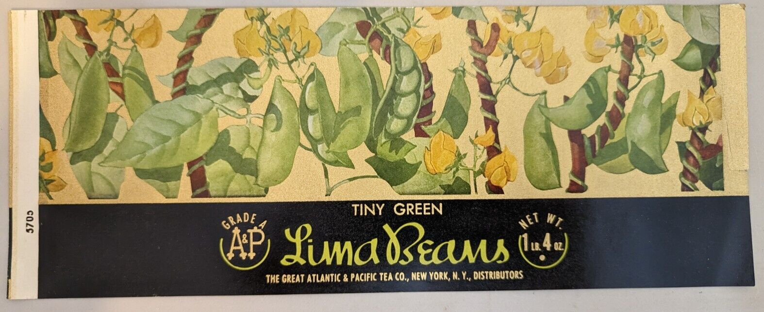 LIMA BEANS Brand The Great Atlantic & Pacific Tea Co. 1930s CAN LABEL Tiny Green
