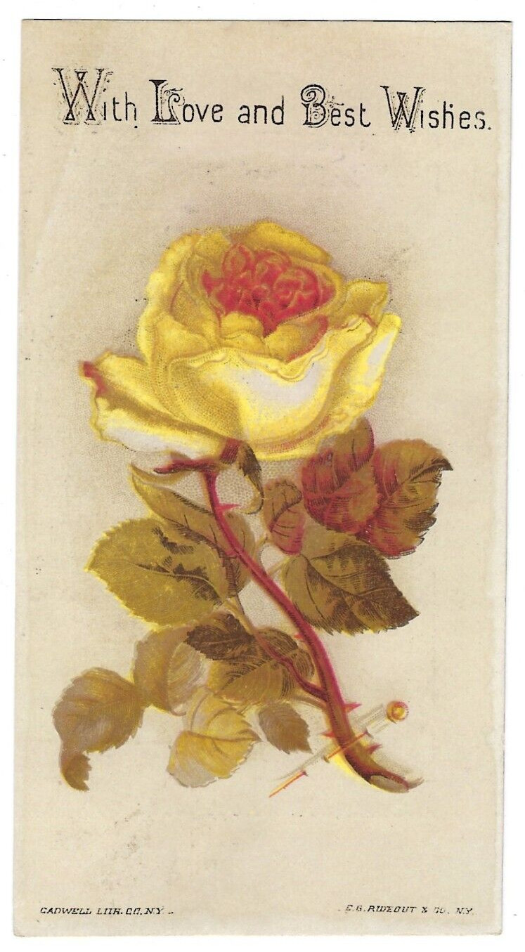 Yellow Rose Trade Card ,With Love and Best Wishes, EC Rideout & Co Barclay, NY
