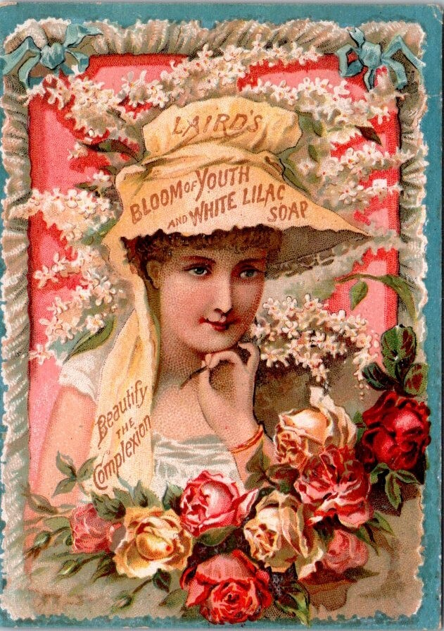 Laird’s White Lilac Toilet Soap Bloom of Youth Faux Fringe Border Roses DPV1