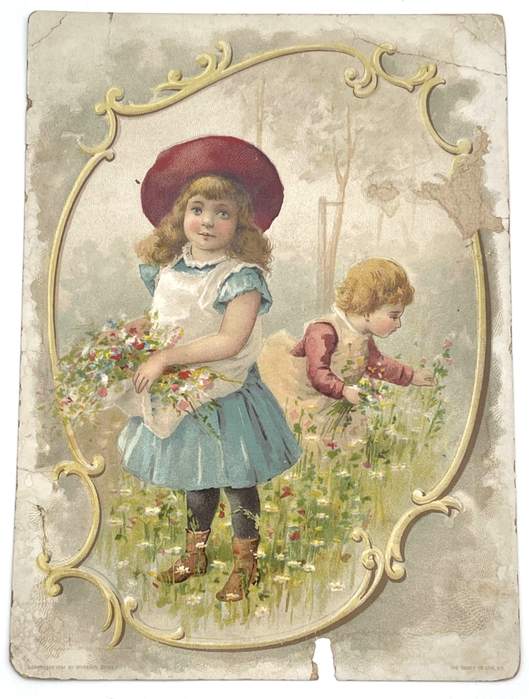 Lion Coffee Trade Card Kids Picking Flowers Woolson Spice Co 1894