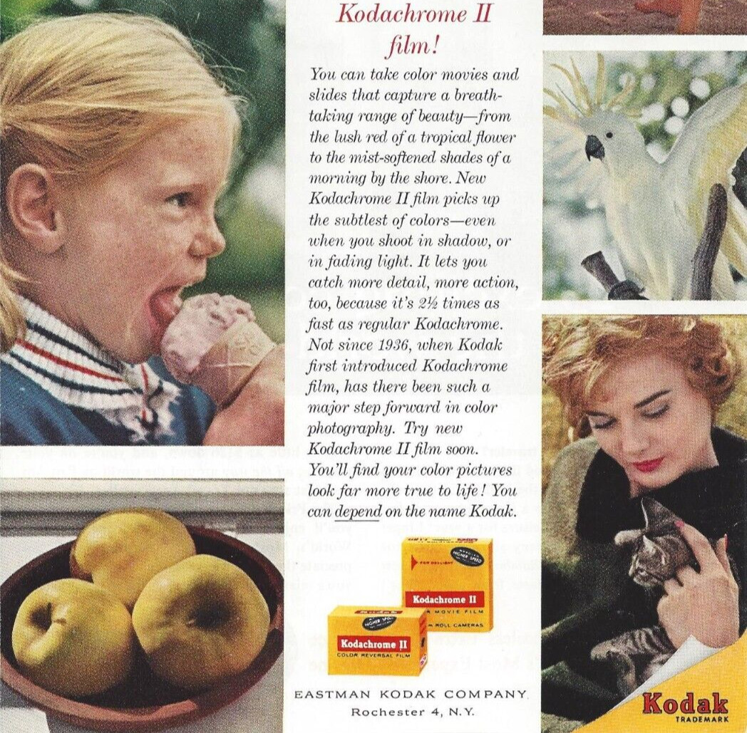 Vtg Print Ad 1962 Kodak Kodachrome Film Photography Girl Cat Flip is Pan Am Junk