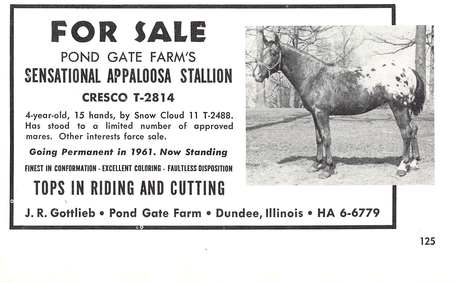 J R Gottlieb Pond Gate Farm Cresco Cutter For Sale Dundee IL Vtg Mag Print Ad
