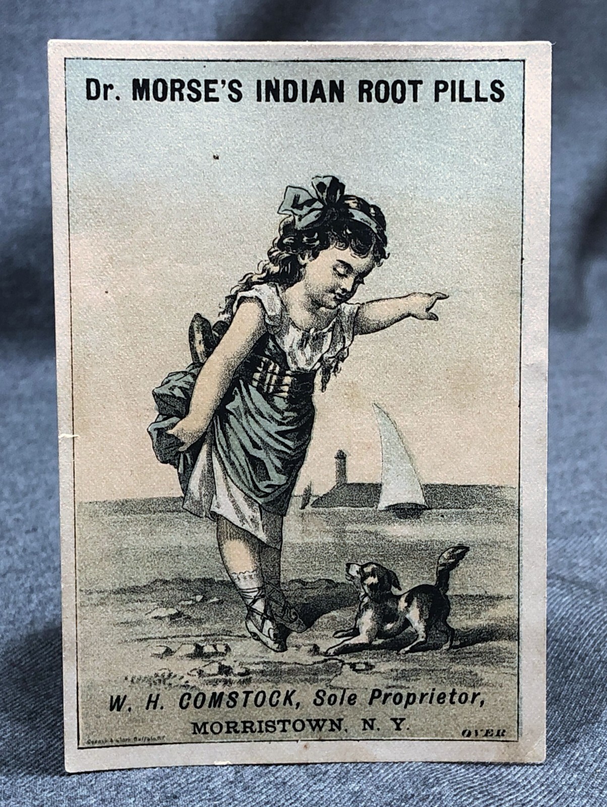 Dr. Morse’s Indian Root Pill Antique Victorian Trade Card VTC Dog Morristown NY