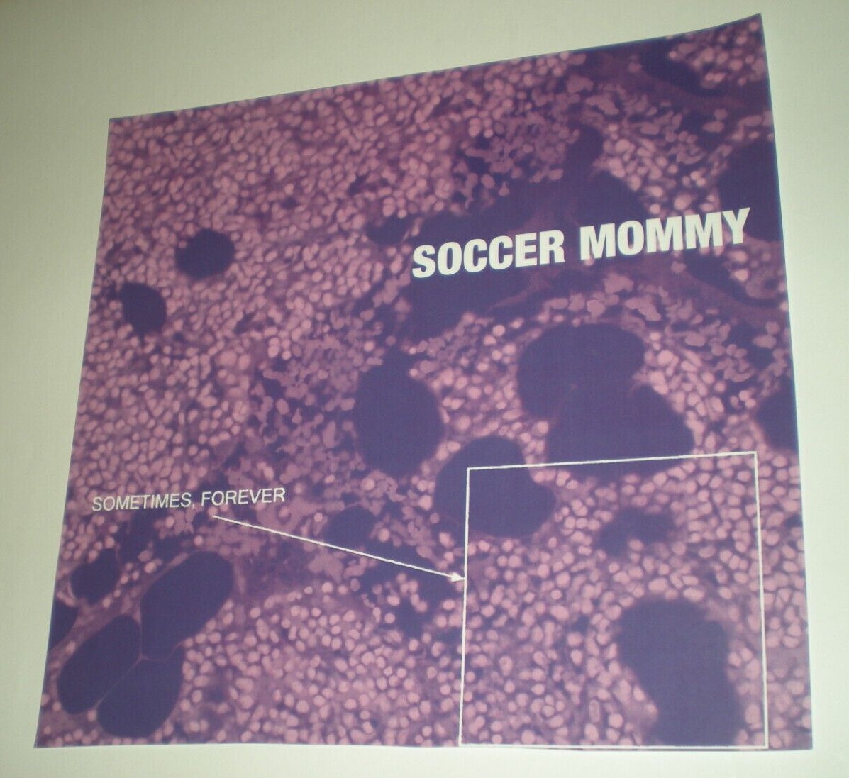 POSTER by SOCCER MOMMY sometimes forever rare promo/ lband tour album b