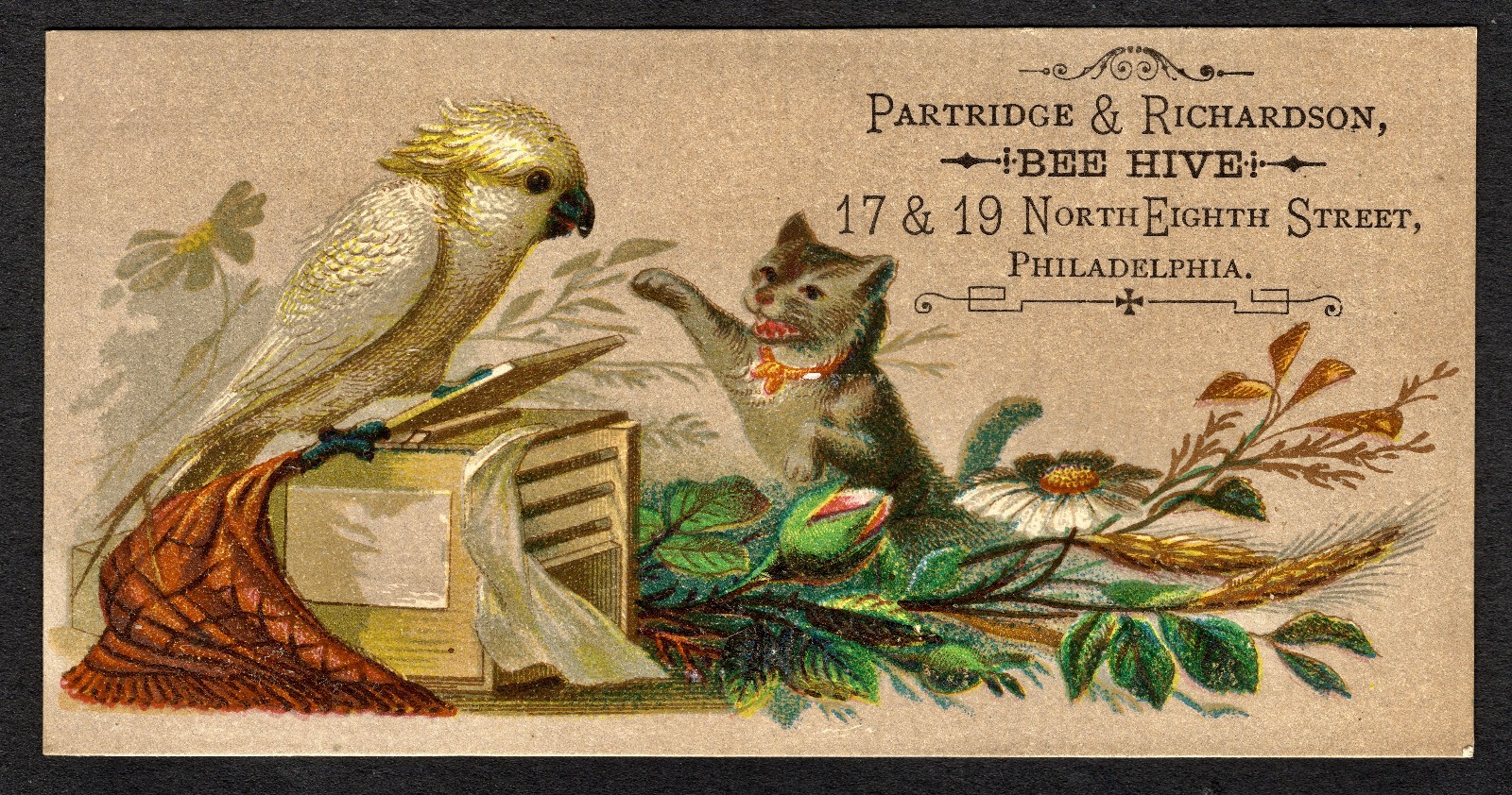 Partridge & Richardson Bee Hive “Cat & Parrot”, Phila. Vict. Adv. Trade Cards