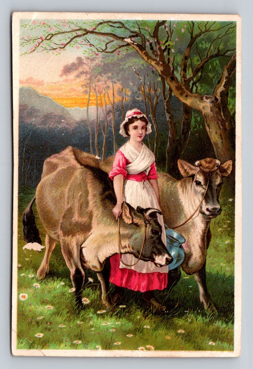 Dr Jaynes Tonic Vermifuge Milkmaid Cows The Jersey Victorian Trade Card P282