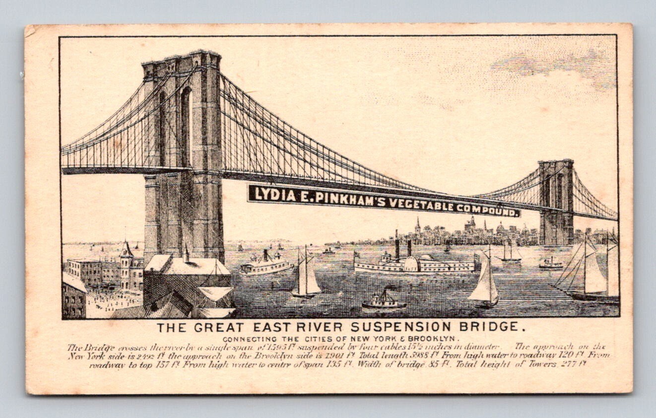 Lydia Pinkhams Vegetable Compound Brooklyn Bridge Blu Hill Maine P837