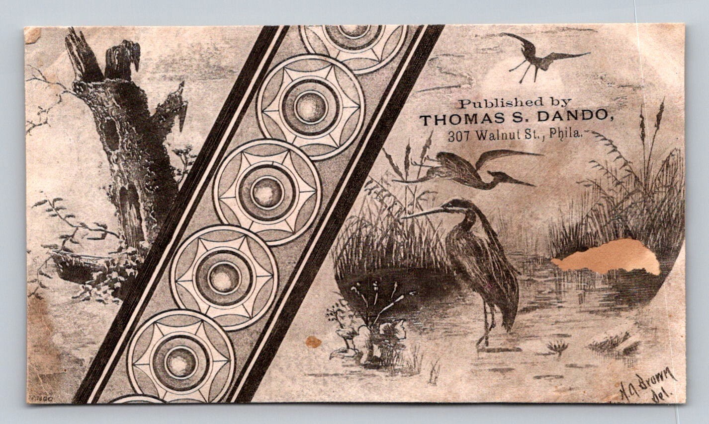 Thos Steam Power Printer Philadelphia Birds Herons P142