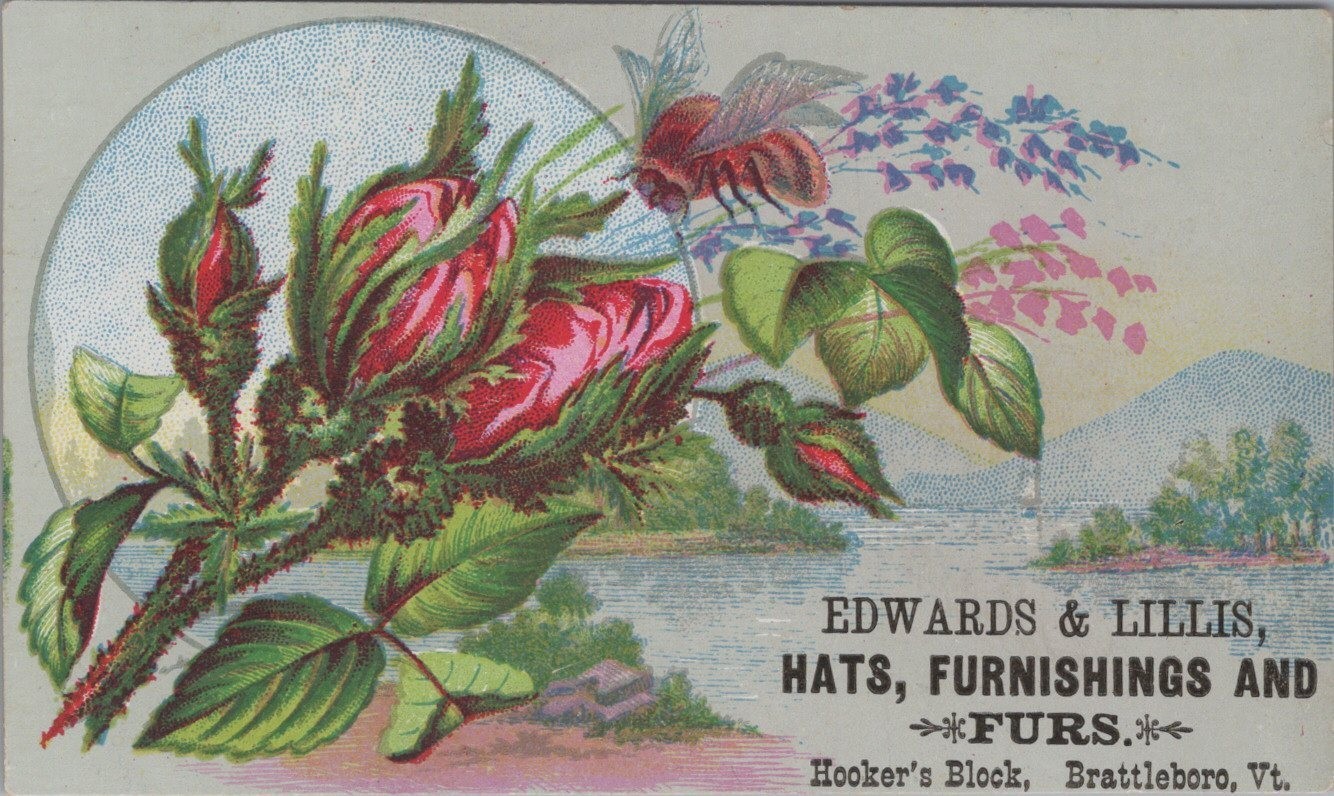 Edwards Lillis Hats Furnishings Furs Brattleboro VT Bee Landing On Flower MQV2