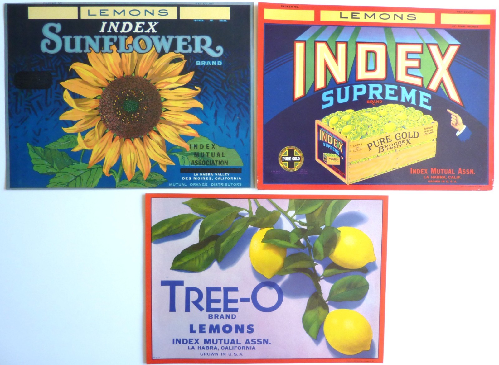 Lot of 3 Vintage Lemon Crate Labels Index Mutual Assn La Habra CA Sunflower