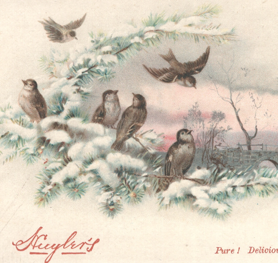 HUYLER’S NY BONBONS, CHOCOLATES TRADE CARD, BIRDS IN A WINTER SNOW SCENE *347