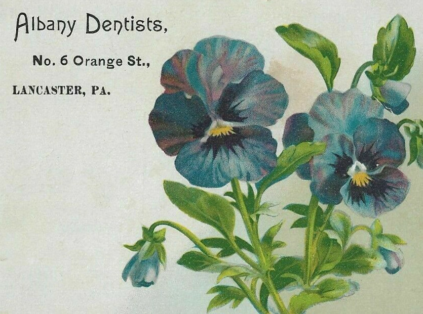 Victorian Trade Card Albany Dentists Lancaster PA 1880s 1890s Tooth Extraction