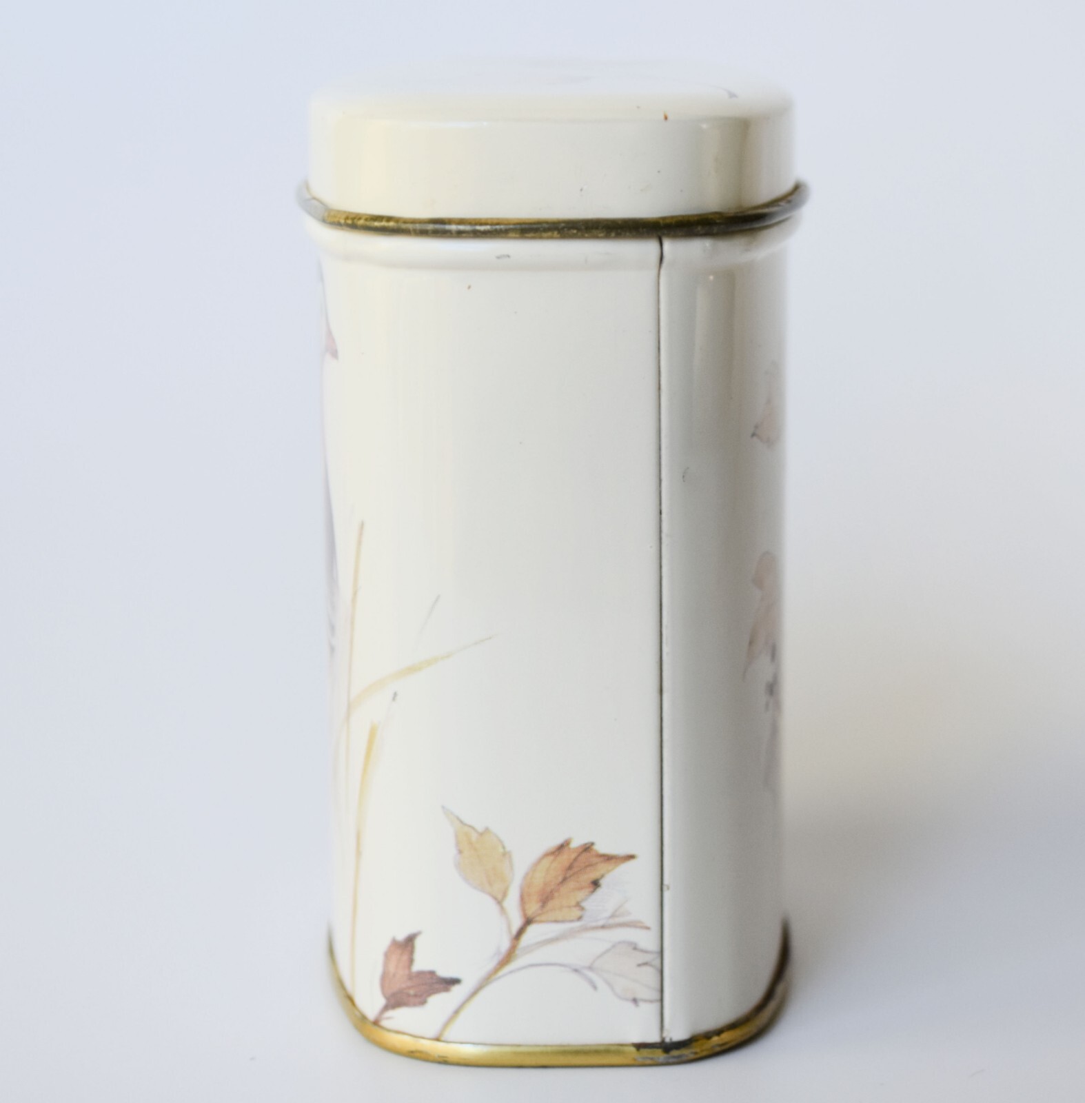 Vintage Small Tin Can Container England Bird Mandarin Duck Drawing Cottage Decor