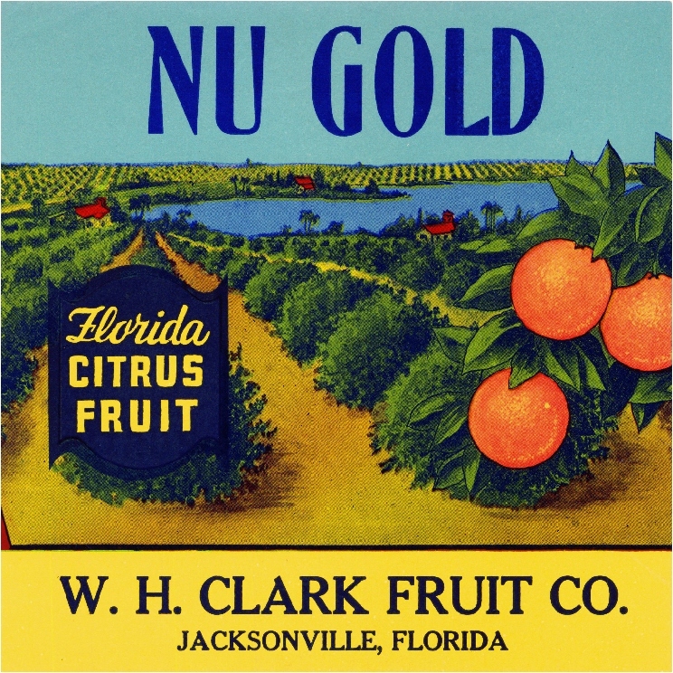 Jacksonville Florida Nu Gold Orange Citrus Fruit Crate Label Art Print