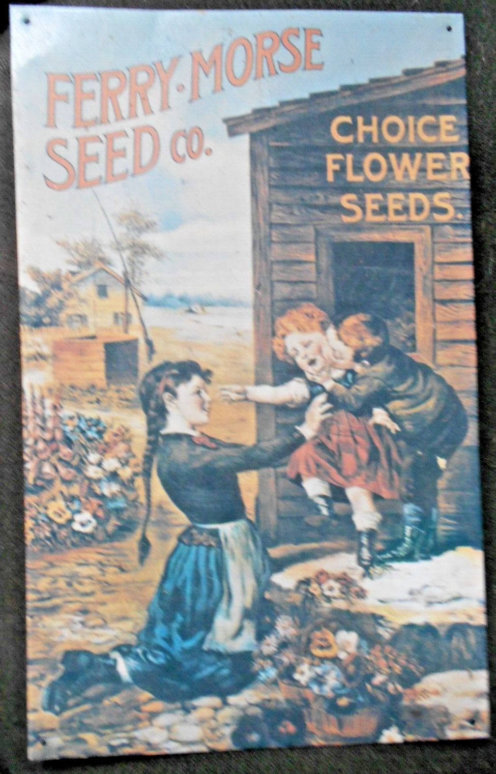 1 Vtg 90s Desperate Sign FERRY MORSE FLOWER SEED CO Metal Sign 16×10”