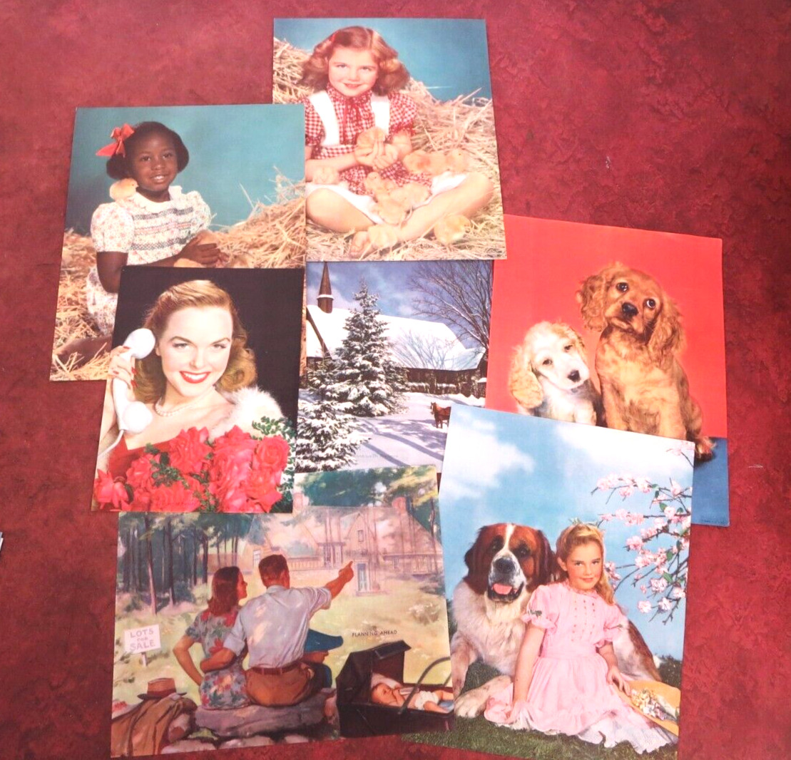 Vintage 1951 LOT of Pre-Order CALENDAR & Post Cards ~100 PICTURES Hunting Nature