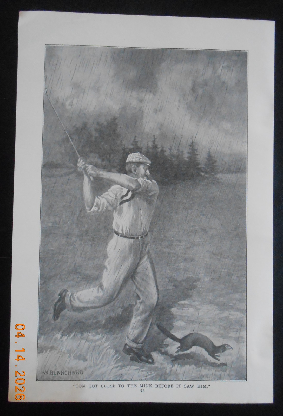 1905 W. Blanchard Illustration art golfer golfing swinging at a Mink golf photo