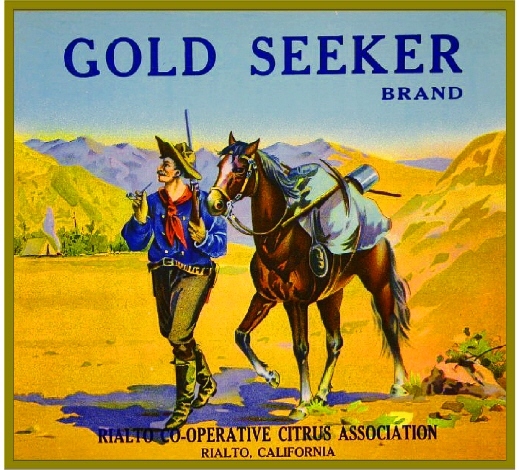 Rialto Gold Seeker Mountain Man Orange Citrus Fruit Crate Label Art Print