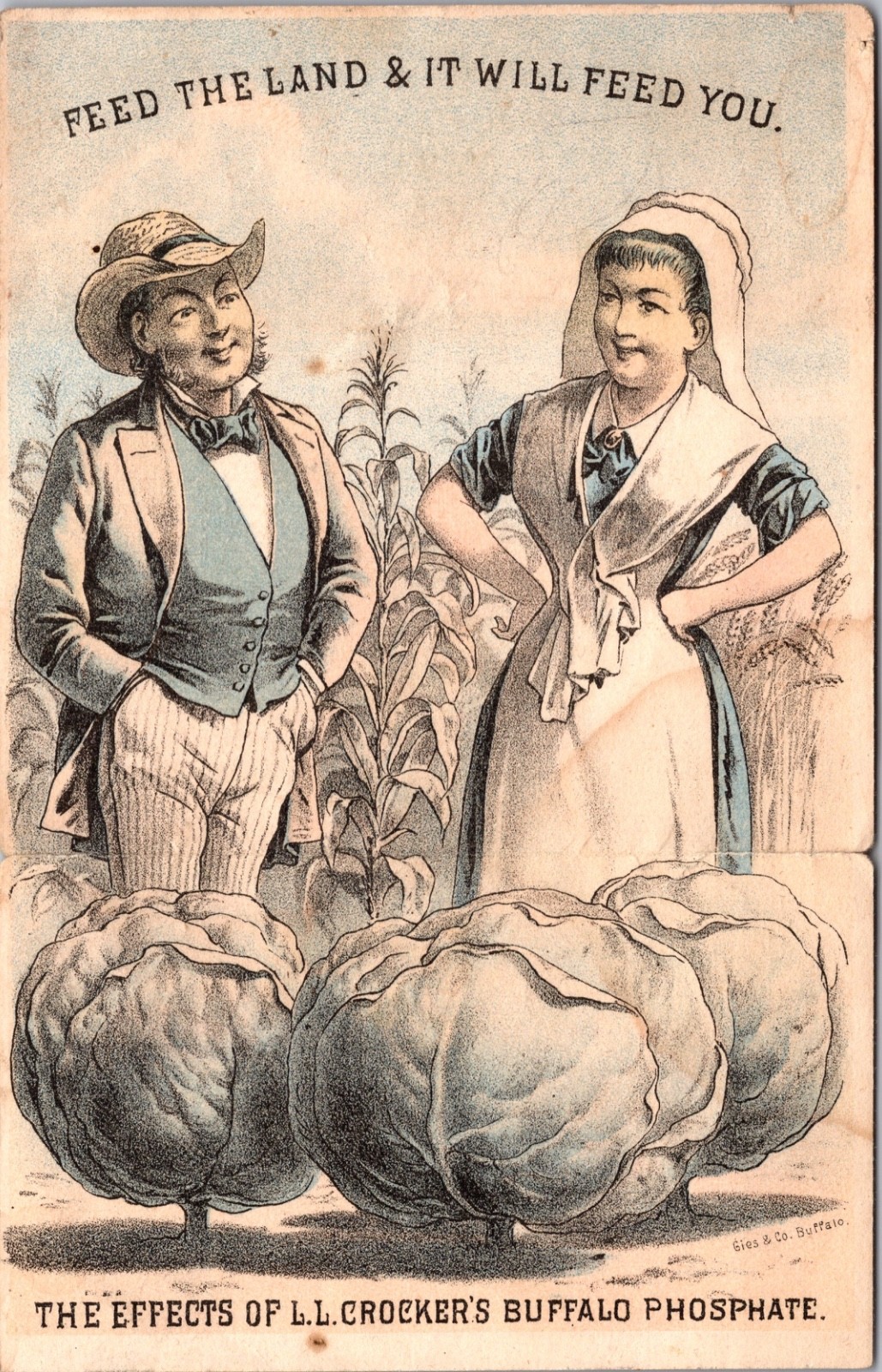 Old 1880 Calendar Folding Antique Trade Card Farmer Crop Buffalo Phosphate RARE