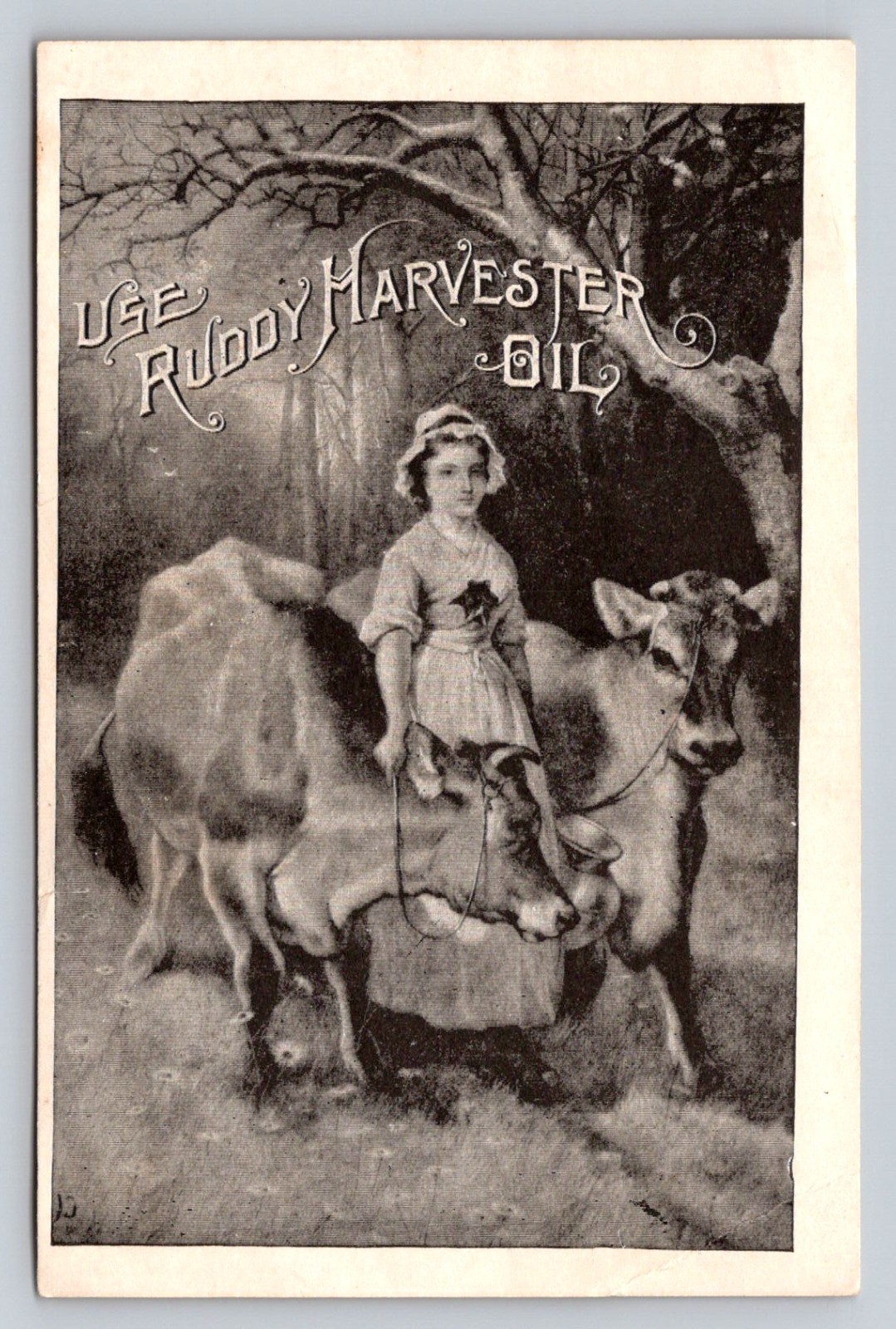 Ruddy Harvester Oil Milkmaid Dairy Cow Yoder West Point Nebraska Trade Card P709