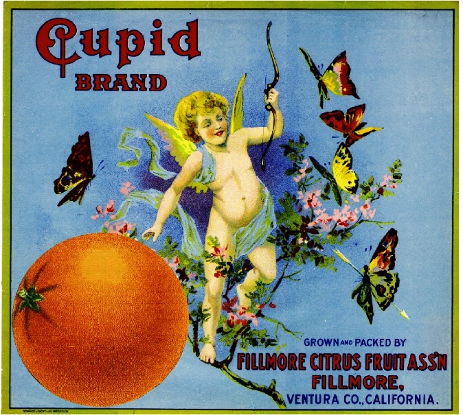 Fillmore Cupid #3 Butterfly Butterflies Orange Citrus Fruit Crate Label Print