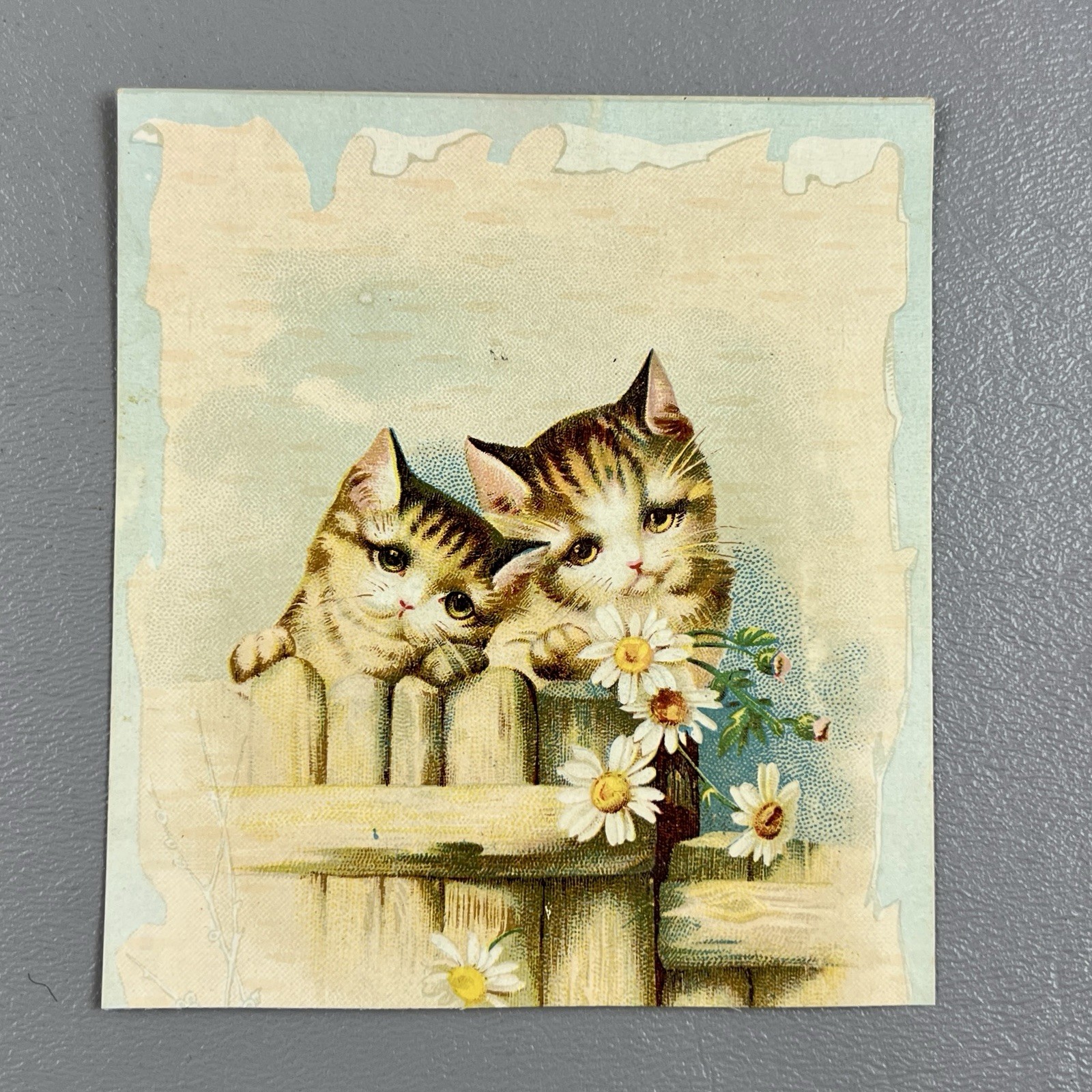 Victorian Trade Card Two Tabby Cats Kittens Daisies 3.75″