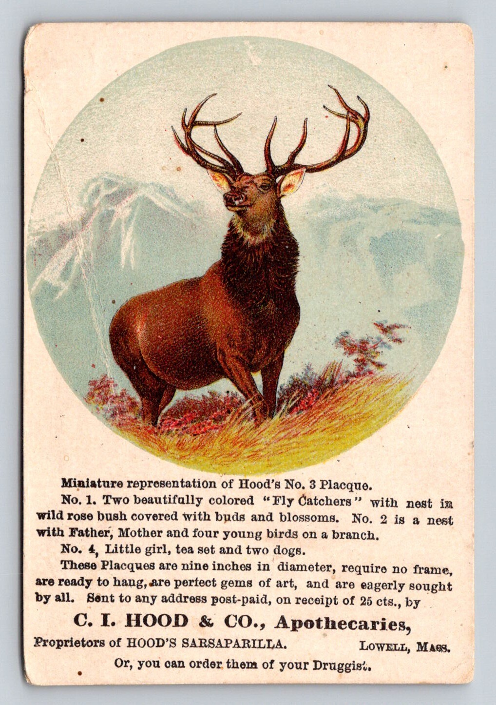 C I Hood Apothecaries Sarsaparilla Deer Victorian Trade Card P634