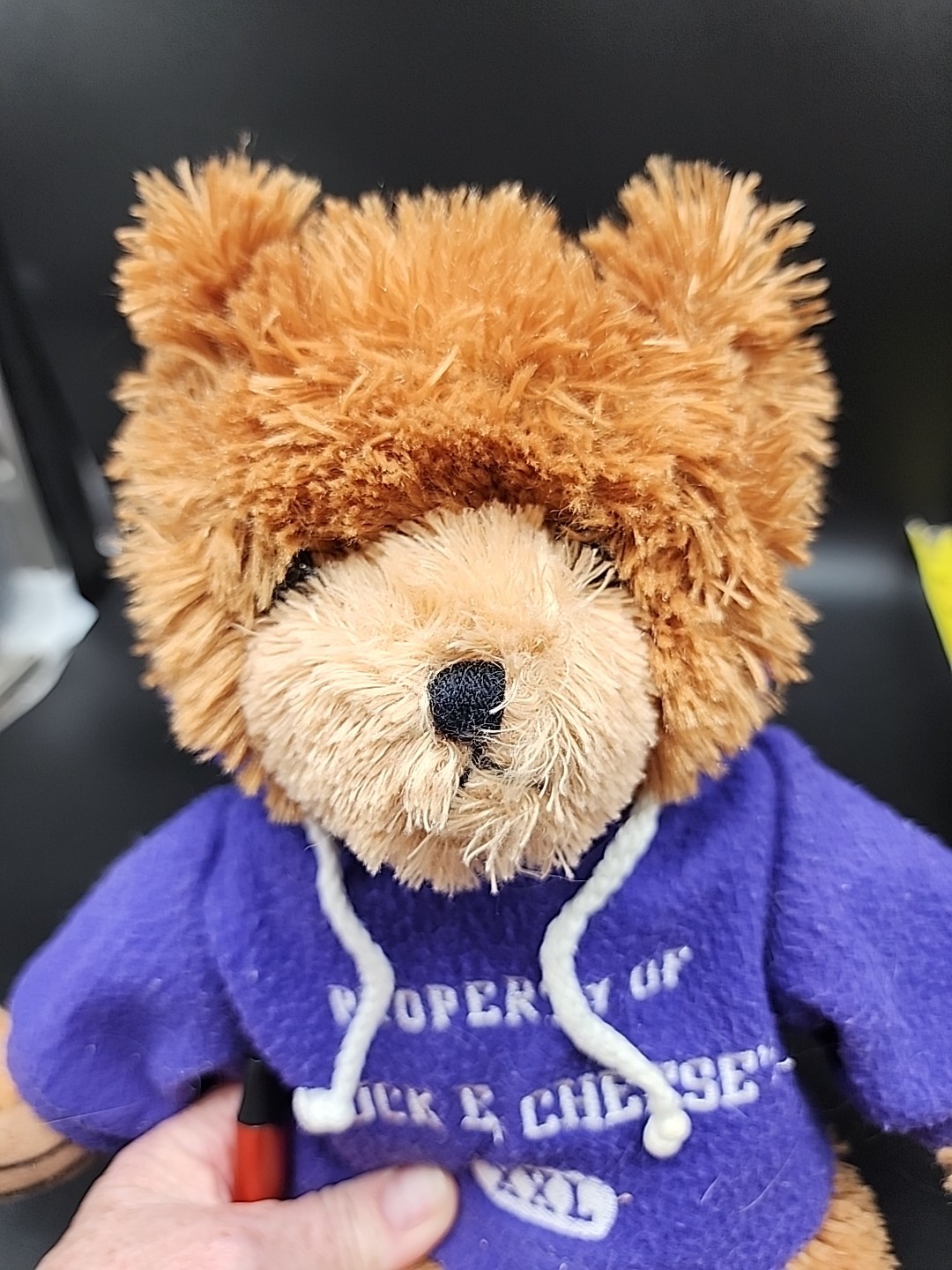 Big Chuck E Cheese Bear Plush fuzzy fluffy shaggy Stuffed Animal Pizza 2006 16″