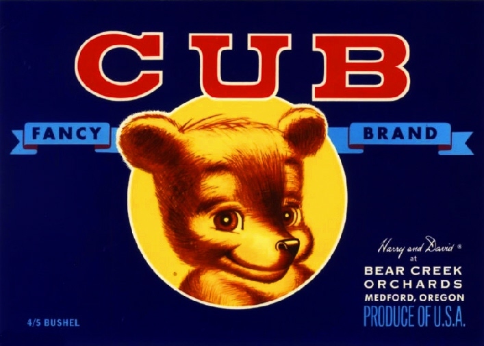 Medford Oregon Bear Cub Pear Fruit Crate Label Art Print