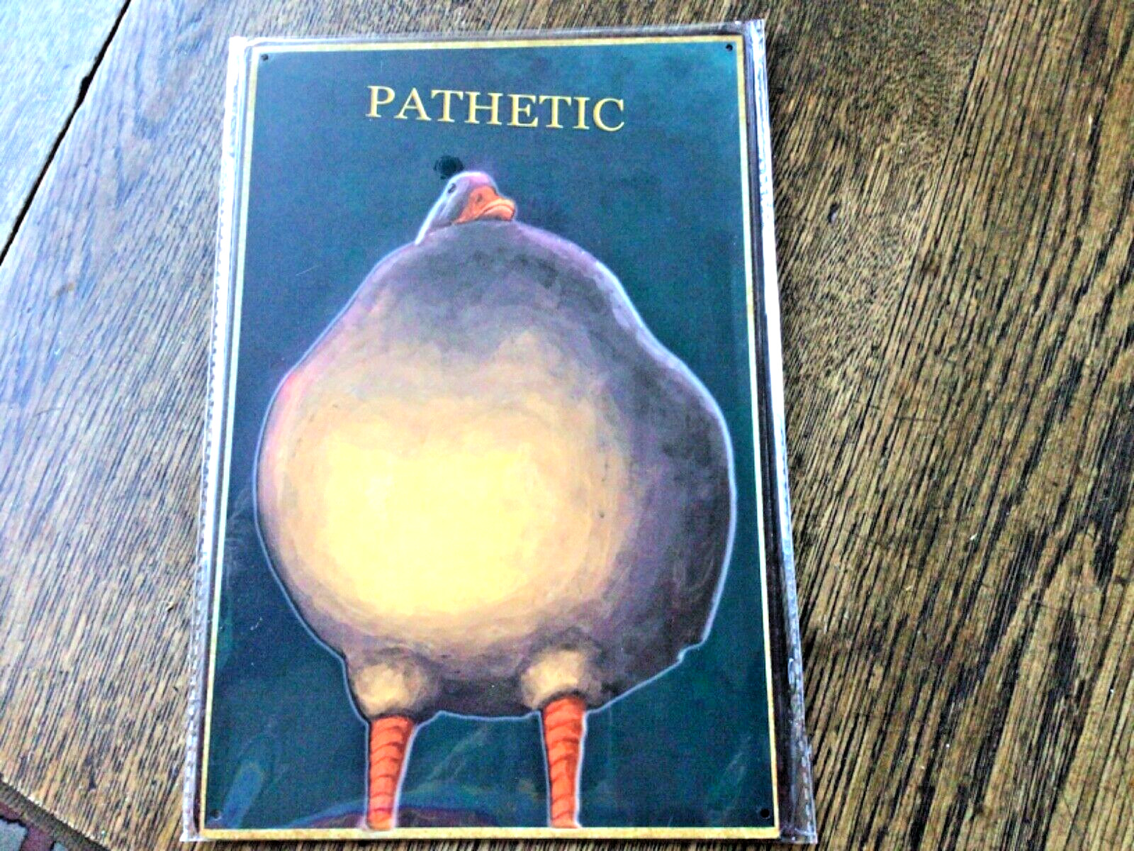 Funny Duck “pathetic” 8×12 inch metal sign -New Cute in any room!