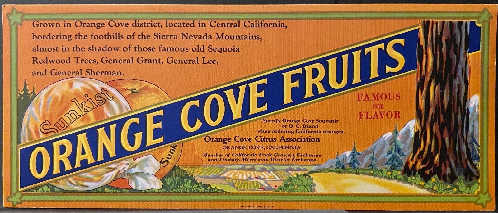 ADVERTISING INK BLOTTER~ORANGE COVE FRUITS CALIFORNIA CITRUS GROVES~POSTER STYLE