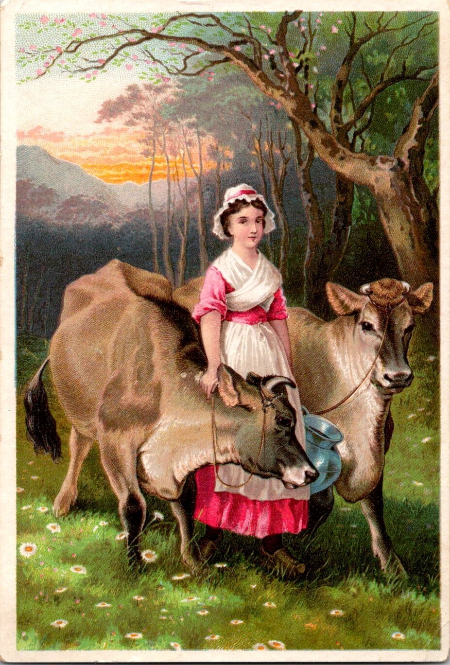 Dr. Jaynes Tonic Vermifuge COW Victorian Trade Card George Niggle Santa Clara CA