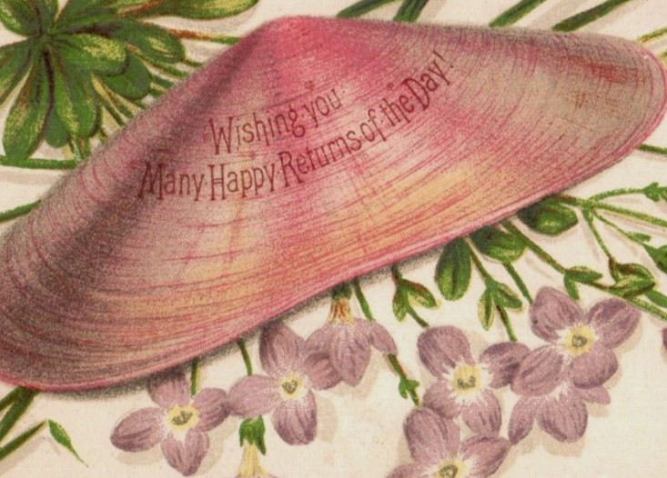 1878 Victorian Happy Returns Of The Day Card Lovely Mussel Shell Flowers F129
