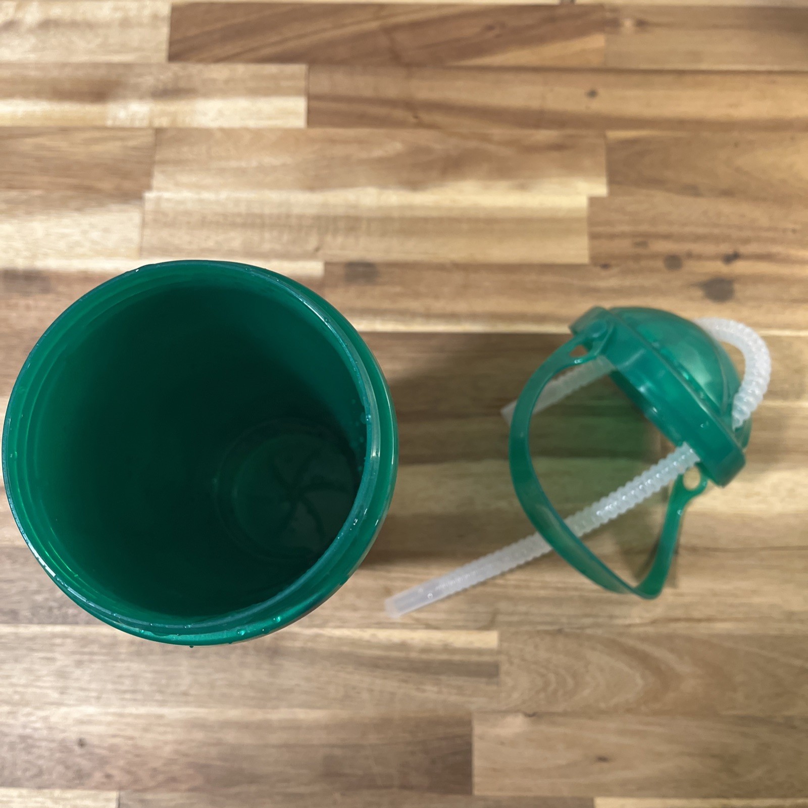 2026 Dollywood Souvenir Refill Cup Tumbler Current Season
