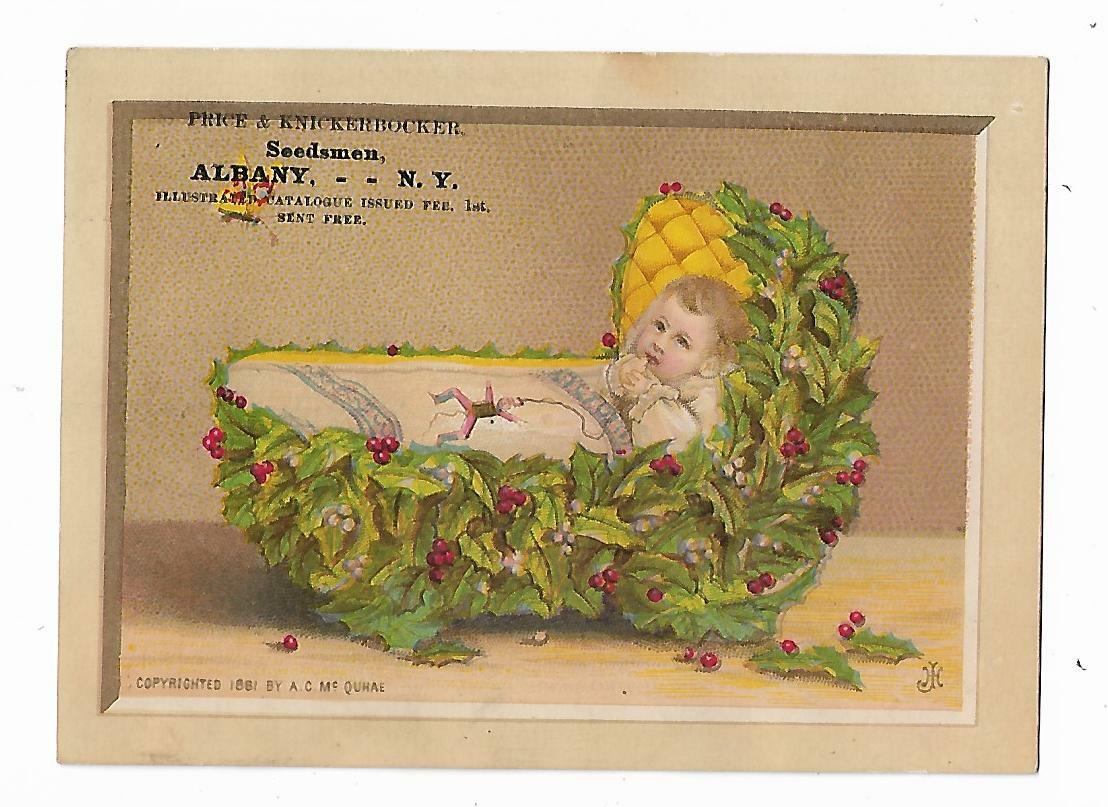 1881 Trade Card Price Knickerbocker SEEDSMEN Albany NY Nursery Agriculture Baby