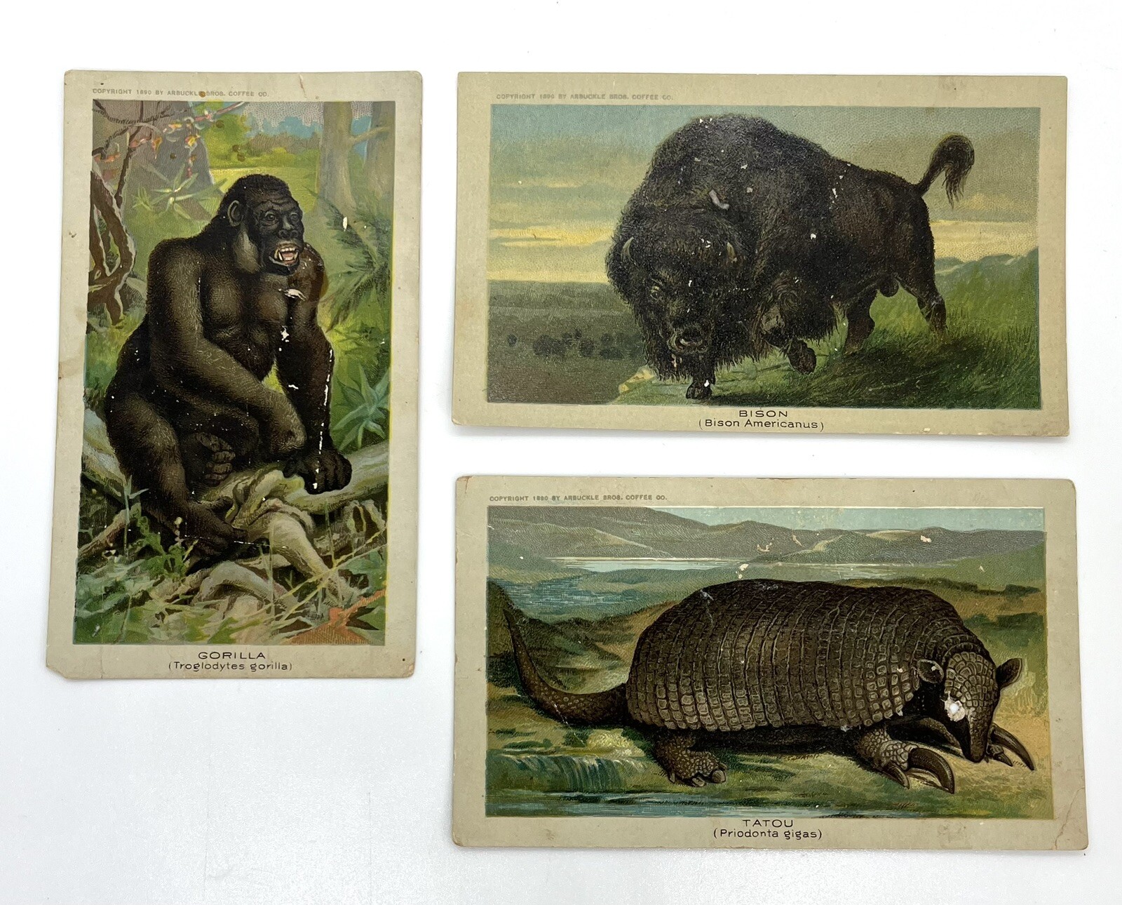 Lot Of 3 Arbuckle Bros. Coffee Company Animal Trading Cards New York City