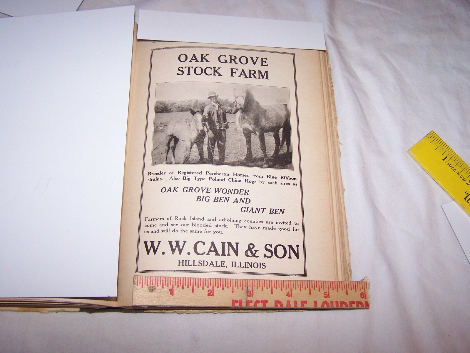 1918 W.W. CAIN & SON OAK GROVE Percheron STOCK FARM Print Ad HILLSDALE ILLINOIS