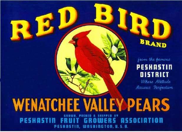 Peshastin Washington Red Cardinal Bird Pear Fruit Crate Label Art Print