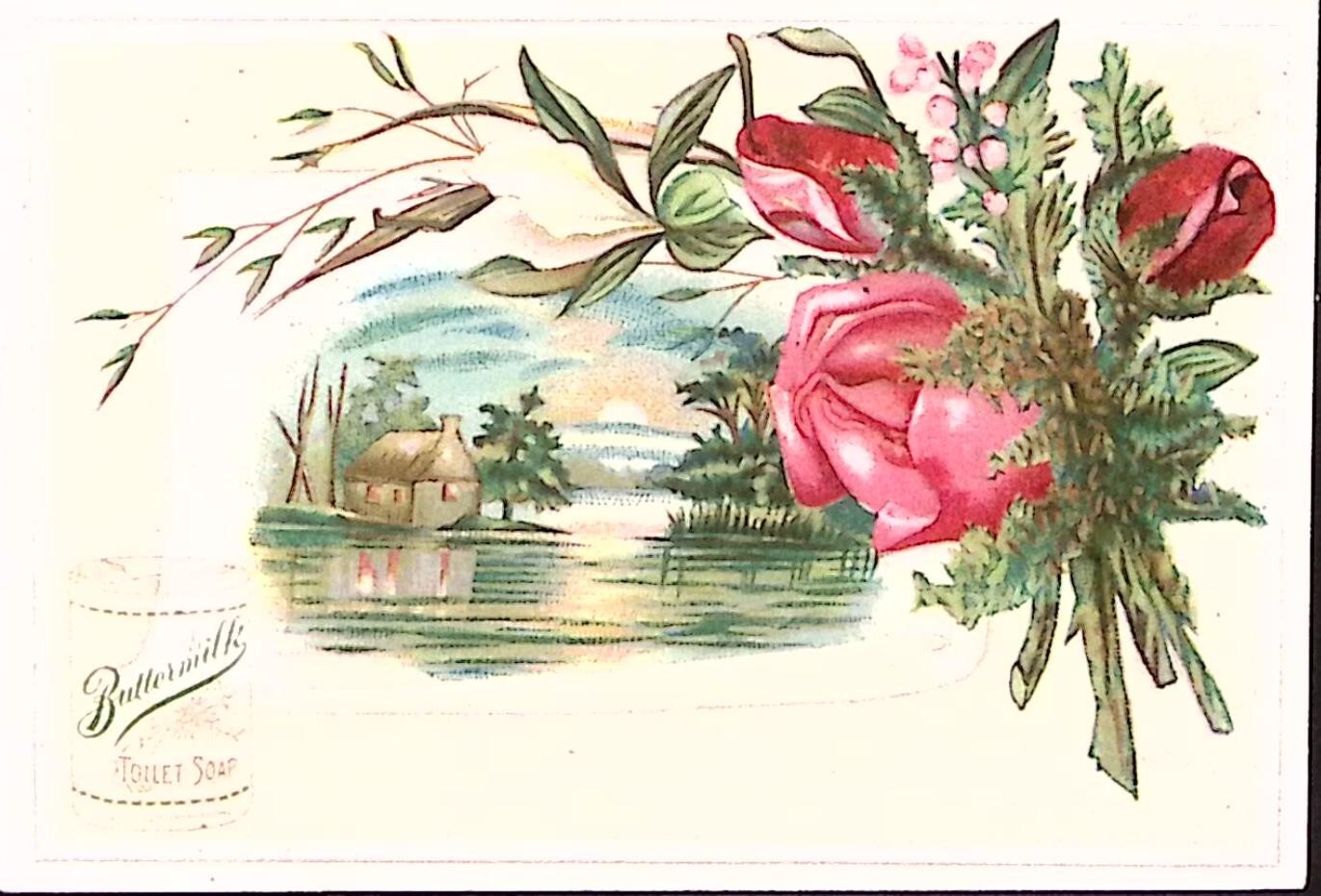 1880s BUTTERMILK TOILET SOAP COSMO BRANDS SCENIC VIEW VICTORIAN TRADE CARD P4459