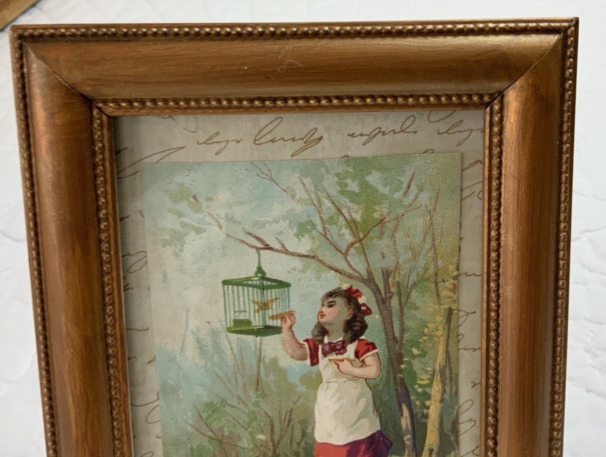 Vintage Antique Victorian Trade Card Ephemera Framed, Girl With Birdcage, Tree