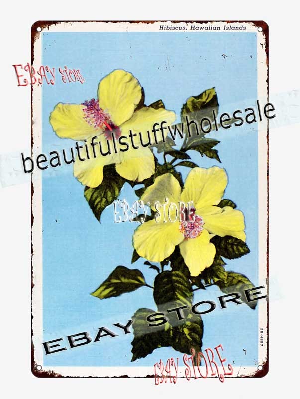 1942 Hawaiian Islands Hibiscus Flower Botanical Art Tin Sign indoor wall
