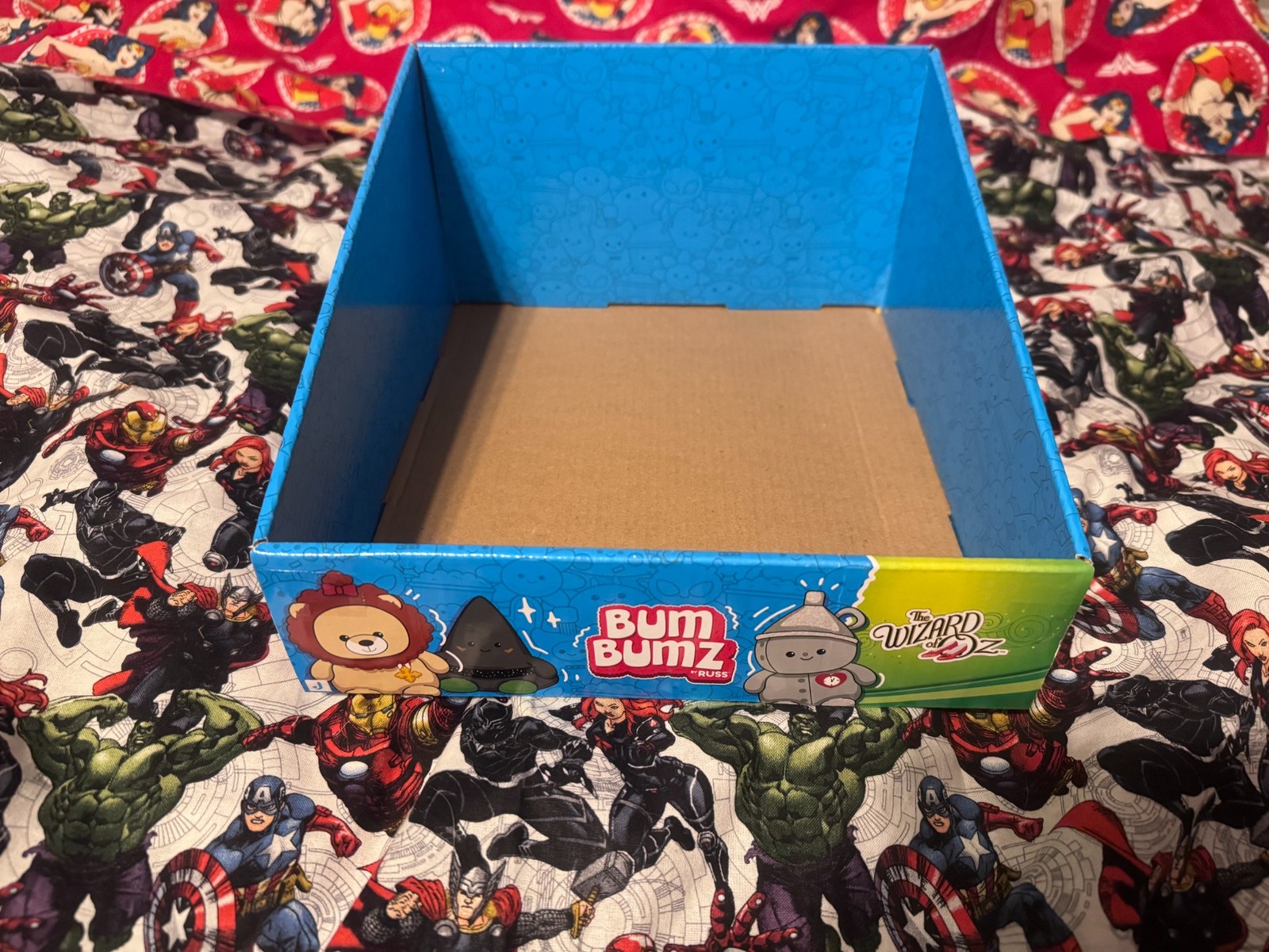JAZWARES BUMBUMZ WIZARD OF OZ STORE DISPLAY BOX FOR COLLECTIBLES RARE NEW